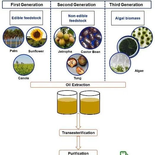 thumbnail for publication: Biofuel: Concepts and Considerations